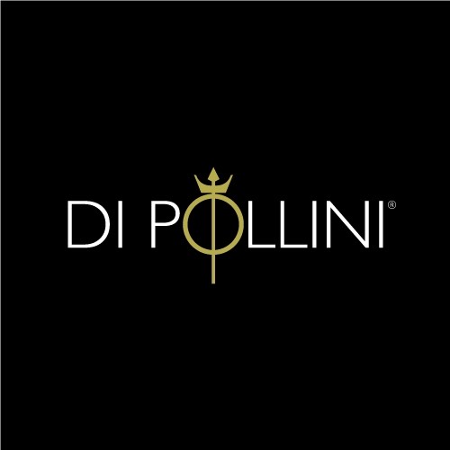 logo-di-pollini