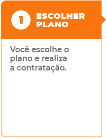 1 Escolher Plano: Você escolhe o plano e  realiza a contratação.